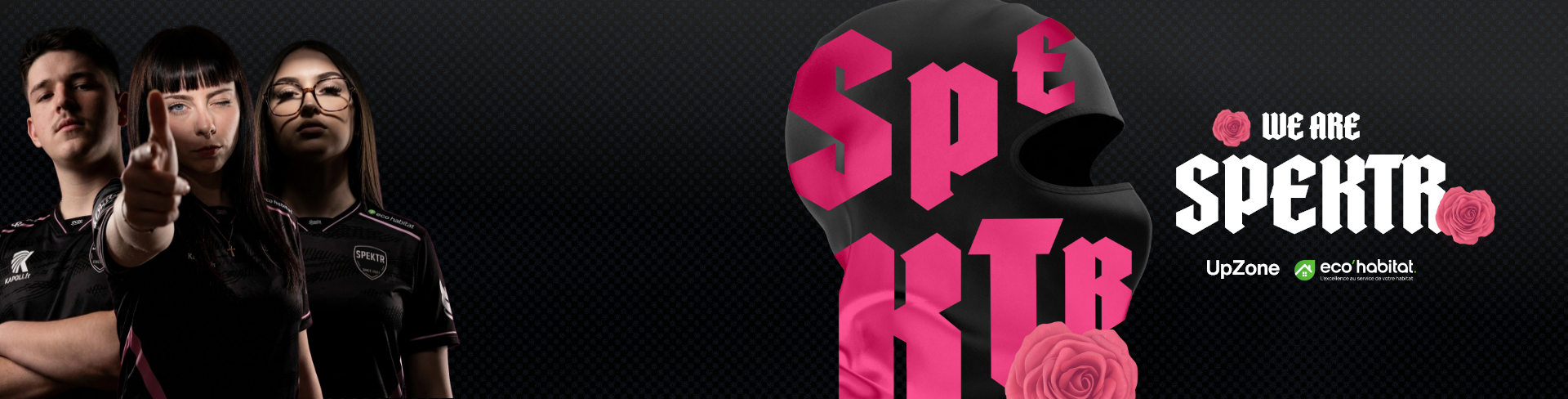 Banniere Spektr rose et noire avec joueurs